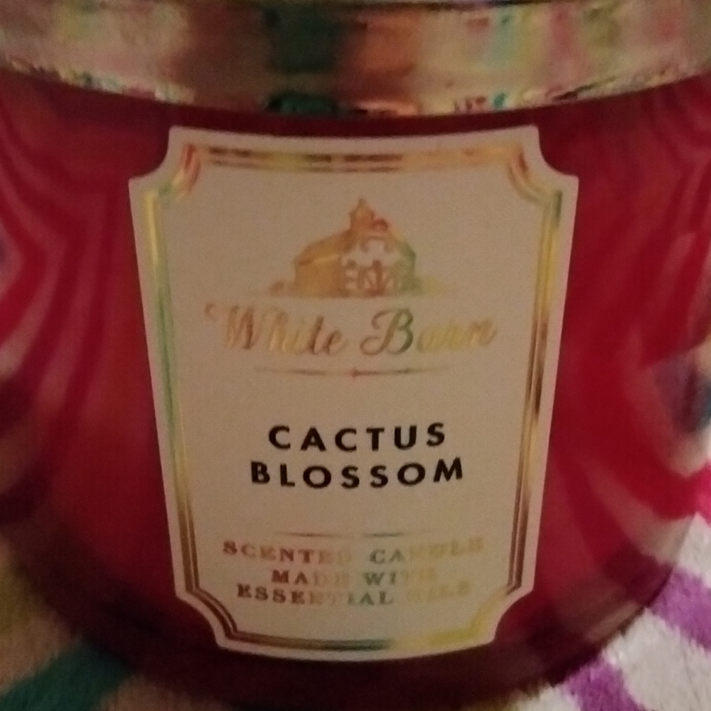 Cactus blossom 3 wick candle